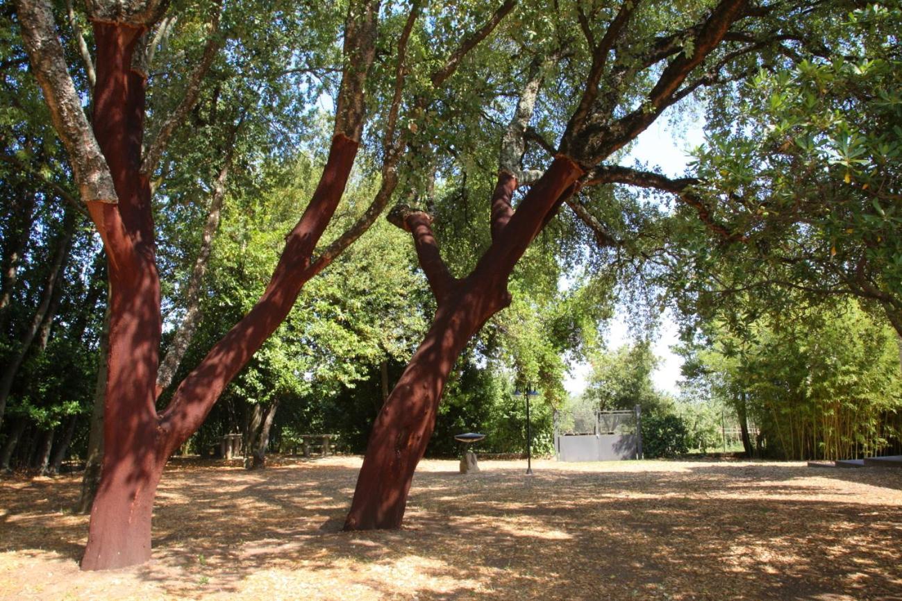 Agriturismo Casale Zuccari Caprarola Ngoại thất bức ảnh