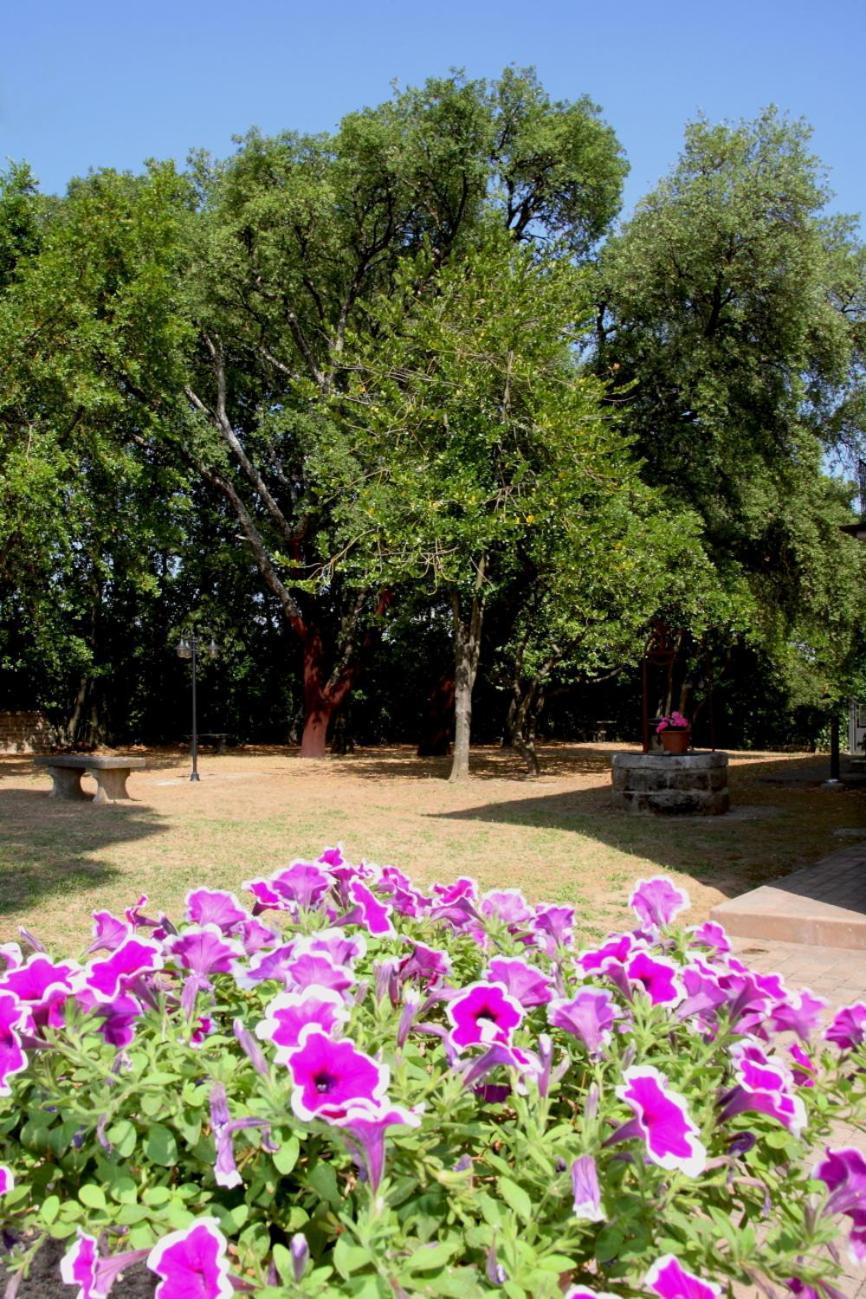 Agriturismo Casale Zuccari Caprarola Ngoại thất bức ảnh