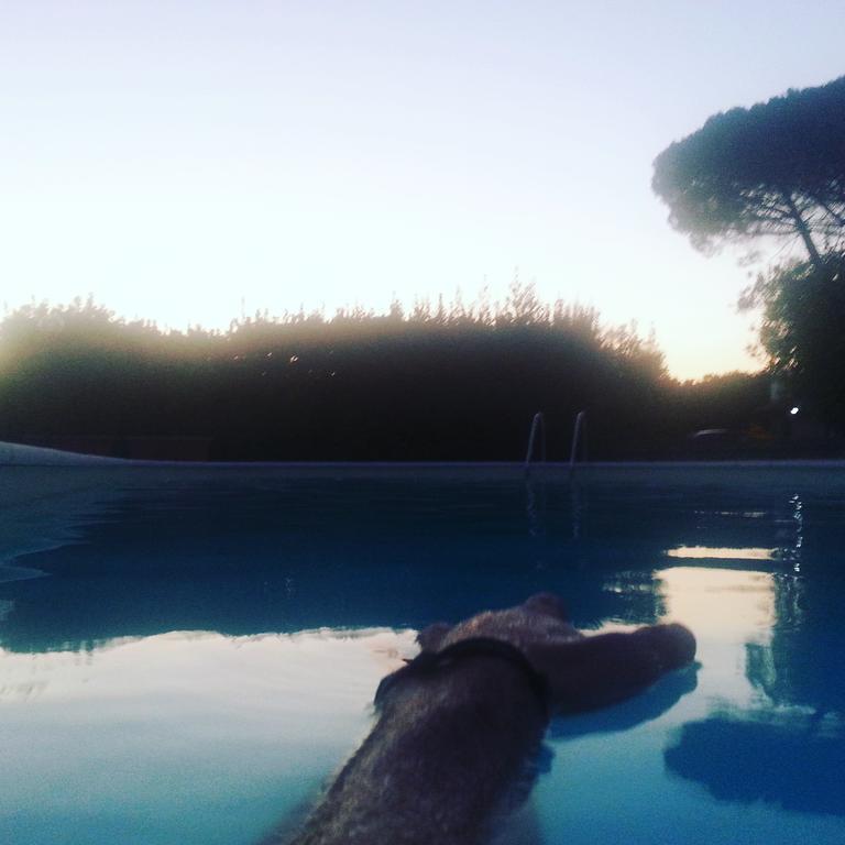 Agriturismo Casale Zuccari Caprarola Ngoại thất bức ảnh